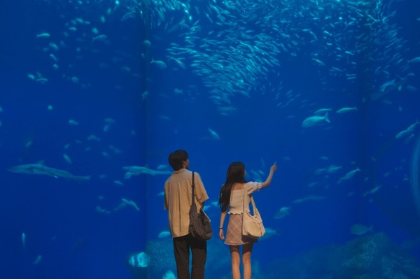 「キンパとおにぎり～恋するふたりは、似ていてちがう～」#2　(c)「キンパとおにぎり」製作委員会