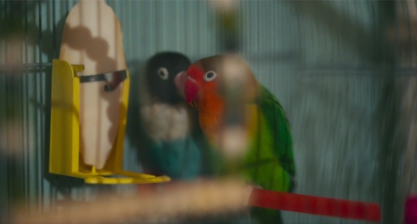 『私のすべて』© 2024 L.F.P. - LES FILMS PELLÉAS / FRANCE 3 CINÉMA