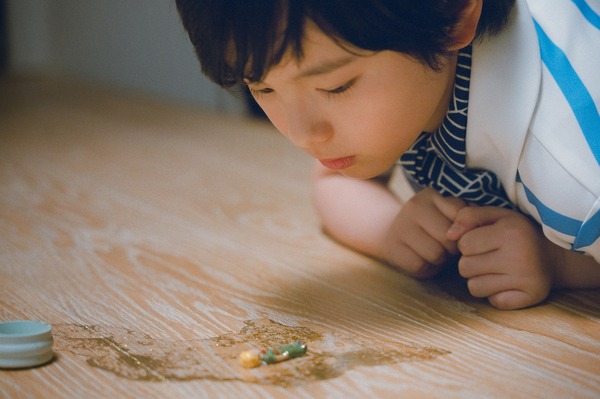 『箱の中の羊』©２０２６「箱の中の羊」製作委員会