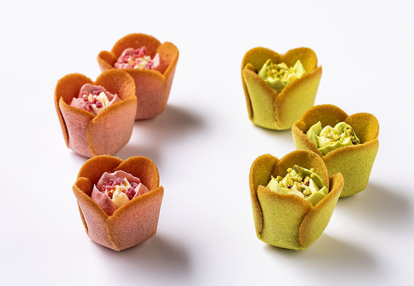 チューリップローズ　春限定〈ストロベリーバター〉　コラボ限定〈ピスタチオバター〉