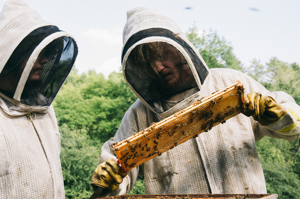 『ブゴニア』(C) 2025 FOCUS FEATURES LLC.LLC.