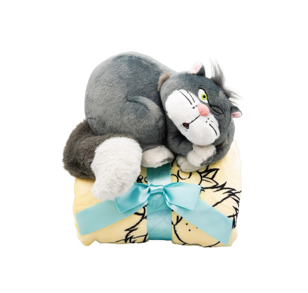 LAST賞 ぬいぐるみ付きブランケット©Disney