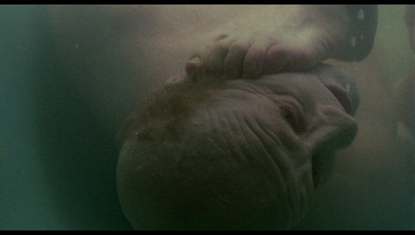 『悪夢の系譜【4Kデジタル修復版】』© 1982 Film House/SIS Productions