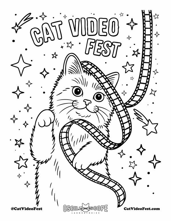 『CatVideoFest』