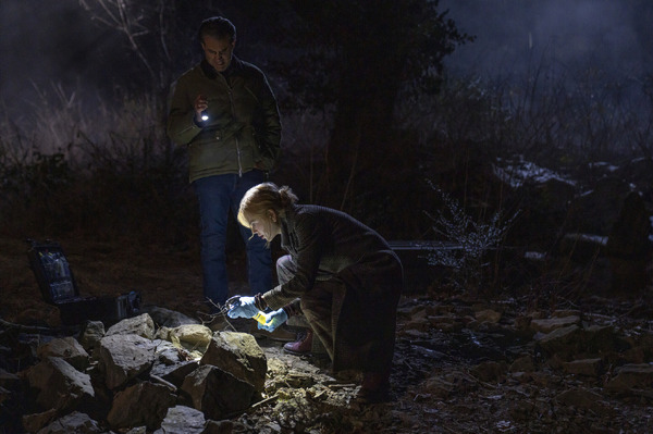 「スカーペッタ」© Amazon Content Services LLC