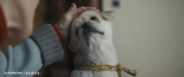 『犬も歩けば』