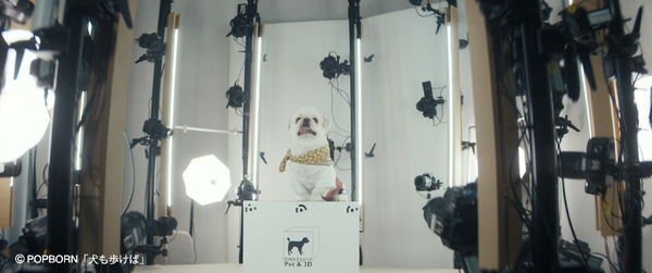 『犬も歩けば』