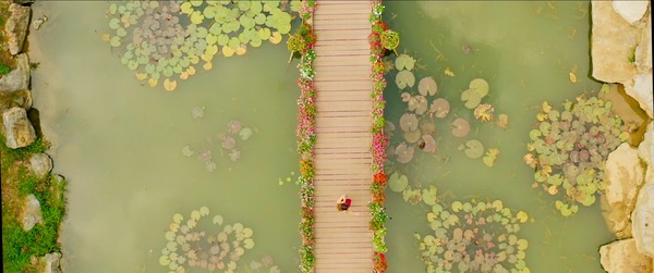 『タトゥーウィッチと呼ばれて』