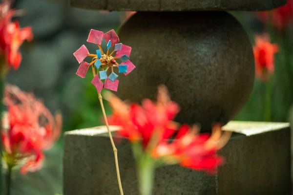 「豊臣兄弟！」9話©NHK