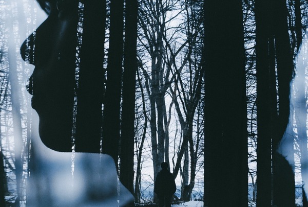 『青い鳥』公式写真集　Ⓒ2026 TOHO CO., LTD.　