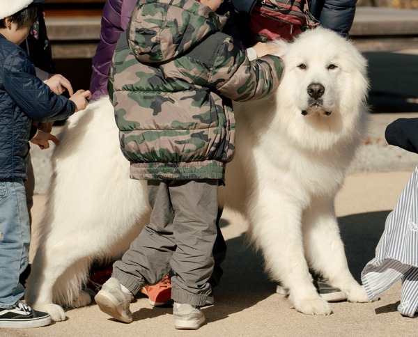 「冬のなんかさ、春のなんかね」8話©日本テレビ