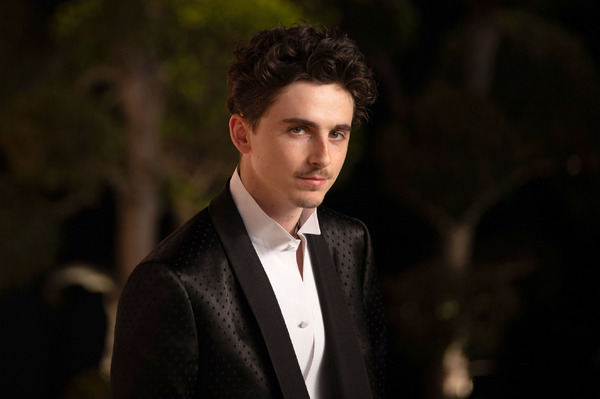 ティモシー・シャラメ　Photo by Robert Smith/Patrick McMullan via Getty Images