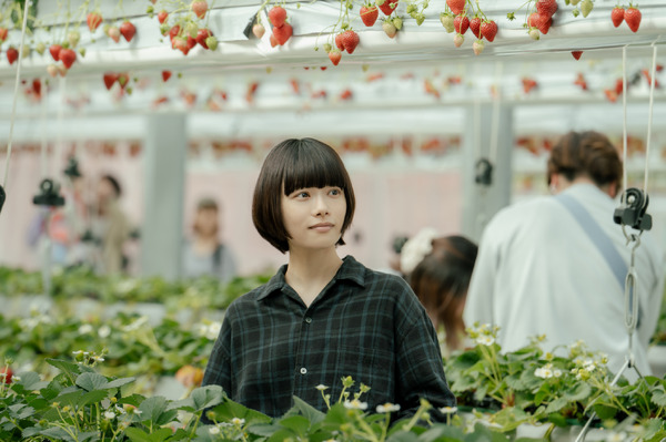 水曜ドラマ「冬のなんかさ、春のなんかね」最終話