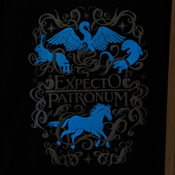 蓄光TシャツAll characters and elements © & ™ Warner Bros. Entertainment Inc. Publishing Rights © JKR. (s26)