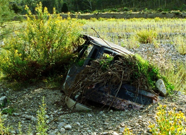 『おくりもの　4Kレストア版』(C) Santamira - Coop. CA.RI.NA.