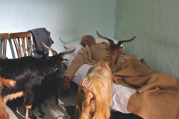 『四つのいのち』(C) 2010 VIVO FILM, ESSENTIAL FILMPRODUKTION, INVISIBILE FILM, VENTURA FILM