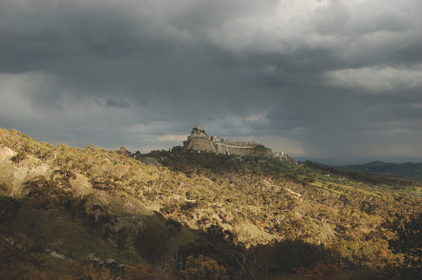 『四つのいのち』(C) 2010 VIVO FILM, ESSENTIAL FILMPRODUKTION, INVISIBILE FILM, VENTURA FILM