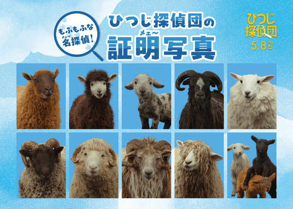 『ひつじ探偵団』