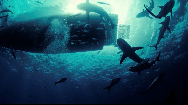 『デンジャラス・アニマルズ 絶望海域』©2025 ANIMAL HOLDINGS PTY LTD