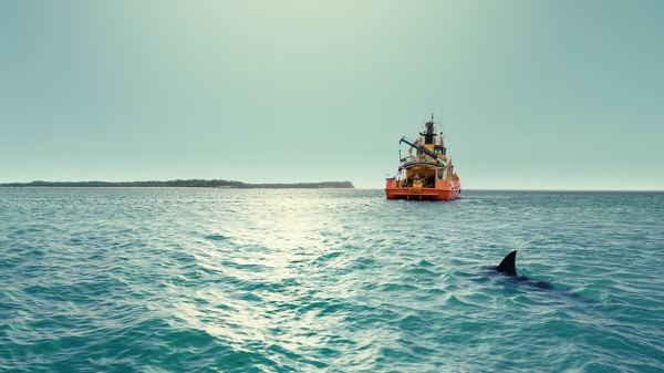 『デンジャラス・アニマルズ 絶望海域』©2025 ANIMAL HOLDINGS PTY LTD