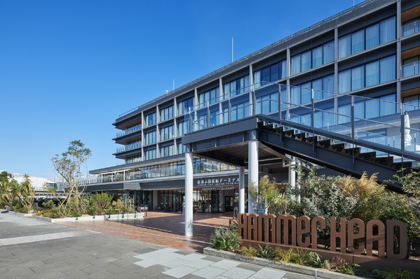 HAMMERHEAD 「SEASIDE CINEMA 2026」