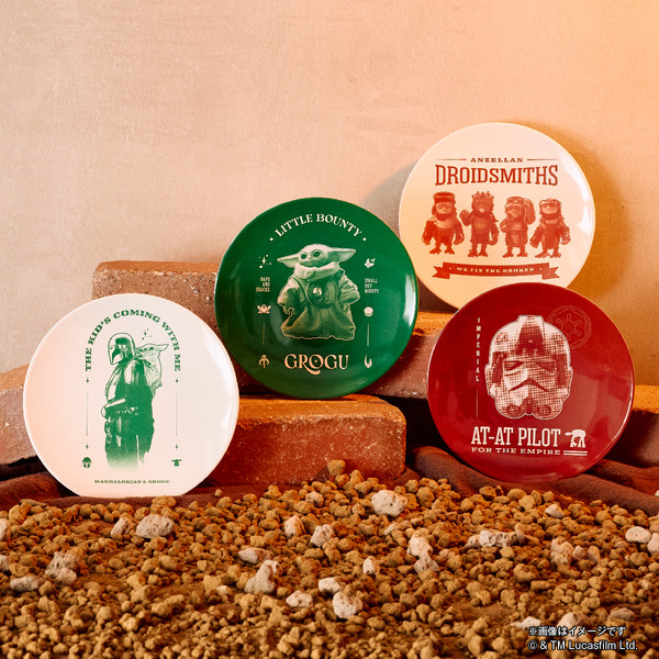 E賞プレート／© & ™ Lucasfilm Ltd.