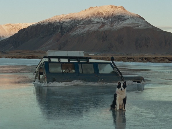 『きれっぱしの愛』© STILL VIVID, SNOWGLOBE, HOBAB, MANEKI FILMS, FILM I VÄST, ARTE FRANCE CINEMA
