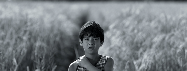 『綿毛の少女』（Dandelions Girl、2025年、19分43秒）