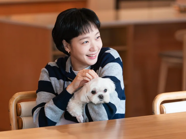 韓国人は白い犬が好き？韓国ドラマに映る「白モフ犬」から見えたペット文化
