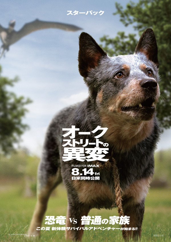 『オークストリートの異変』(C)2025 Warner Bros. Ent. All Rights Reserved