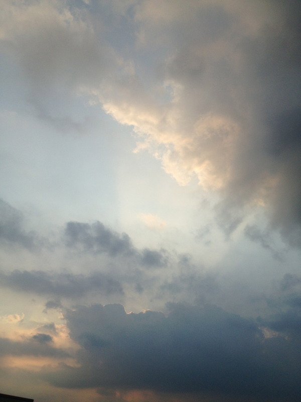 【雅子BLOG】文化庁映画週間シンポジウム