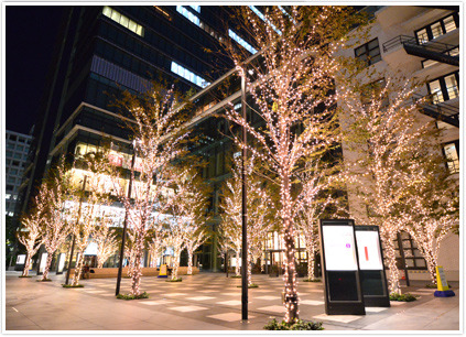 KITTE 1F テラス イルミネーション