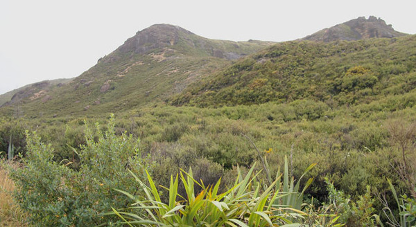 絶景が広がる乗馬ルート