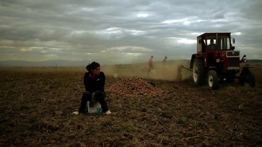 『The Forest is Like the Mountains』