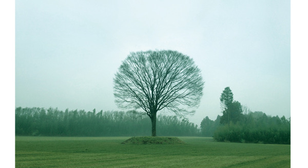 東京から車で約70分、千葉県市原市にある東京ドーム13個分の牧草地を利用したキャンプ場「一番星ヴィレッジ」。