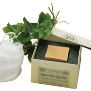 「ガミラシークレット 泡パックセット」6月20日（金）より数量限定にて発売。2,484円