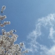 息子が生まれた日の空。桜満開。