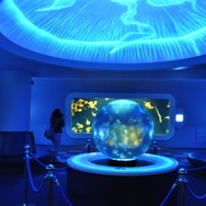 新江ノ島水族館で「ナイトアクアリウム開催」