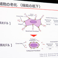 「アロエに含まれる新成分の美肌効果に関する研究結果発表」会見