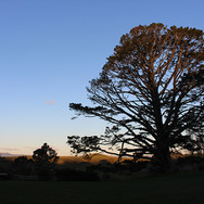 ホビット庄-(C) “Hobbiton Movie Set Tours” for Hobbiton