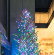 ミキモト2013年のクリスマスツリー