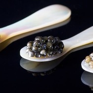 キャビアは、香りや味を損なうことなく食すために、白貝から作られるキャビア専用のシェルスプーンを使う。