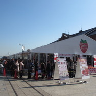 「横浜ストロベリーフェスティバル」昨年開催の様子