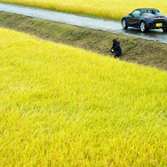 写真家の在本彌生、伊藤徹也、池田晶紀がホンダの車両「S660」を撮影した作品を展示する「ホンダ S660 デザイン/フォト エキシビション」が開催