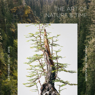 北アメリカ中心に広がる“盆栽”、次世代のアートとして世界へ再発信