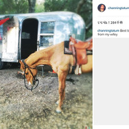 チャニング・テイタムの馬　(c)Instagram