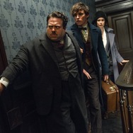 『ファンタスティック・ビーストと魔法使いの旅』（C）2015 WARNER BROS ENTERTAINMENT INC. ALL RIGHTS RESERVED