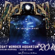 新江ノ島水族館「ナイトワンダーアクアリウム 2016」