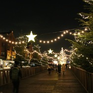 「クリスマスマーケット in 横浜赤レンガ倉庫」モミの木の並木道