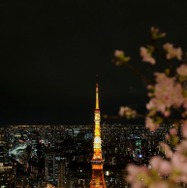 アンダーズ東京52F「ルーフ トップバー」で「さくら ガーデン」開催！